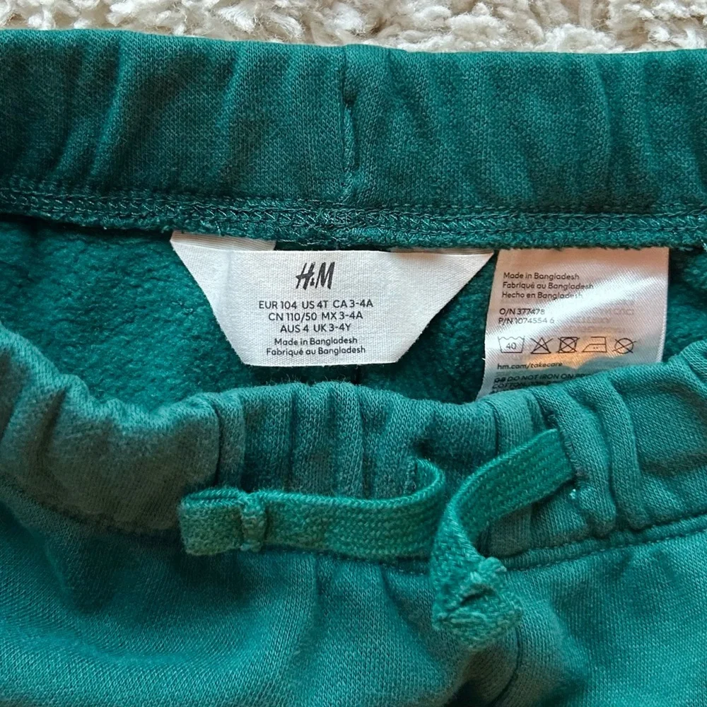 H&M Cool T-Rex Dino Graphic Cotton Terry Sweatpant Top Outfit Dark Green Size 4T